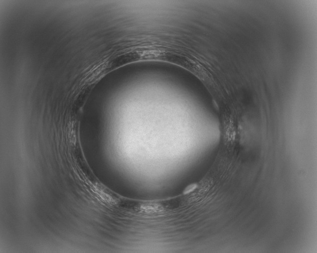 X0000052560666200507081637
