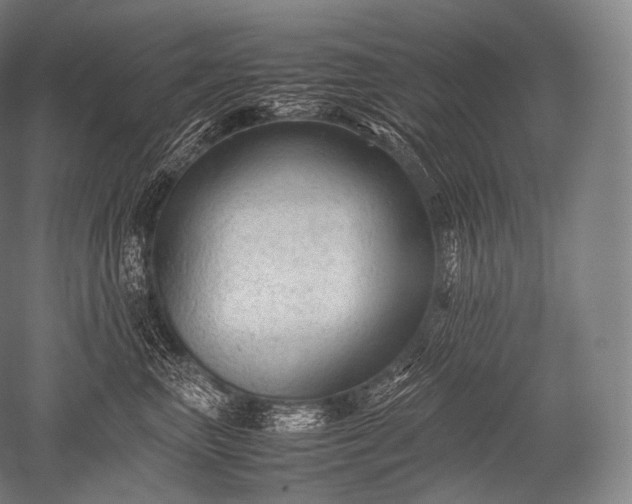 X0000052560667200507081637
