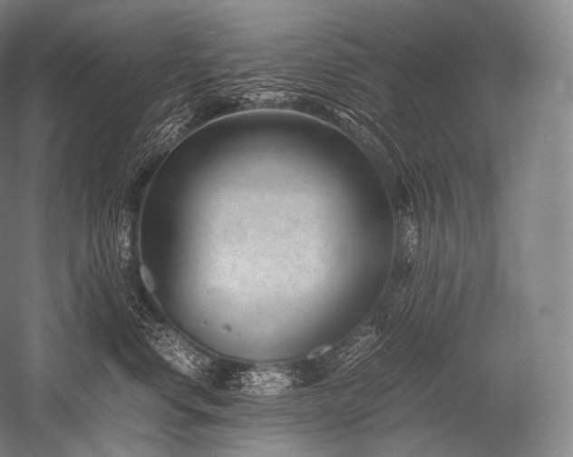 X0000052560668200507081637