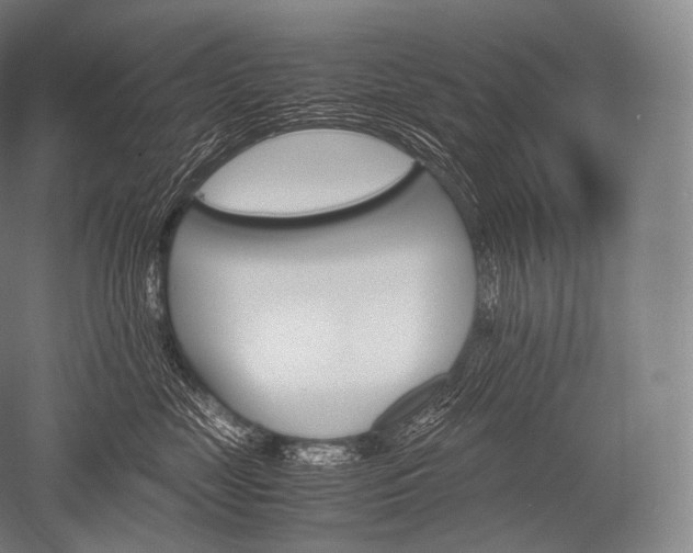 X0000052560669200507081637