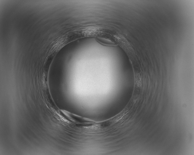 X0000052560670200507081637