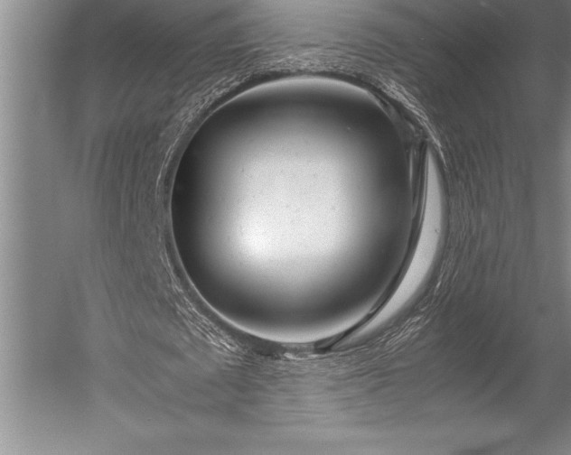 X0000052560673200507081636