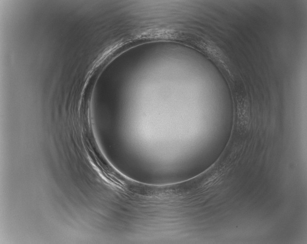 X0000052560674200507081636