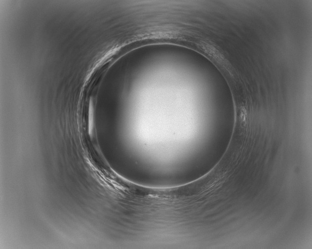 X0000052560676200507081636