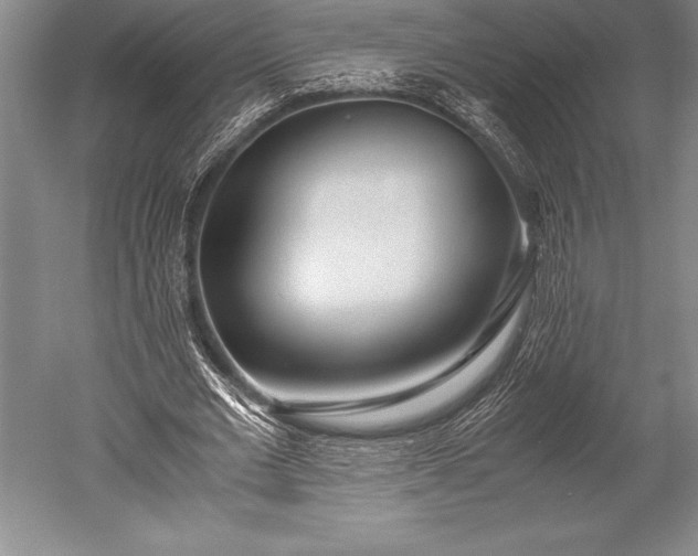 X0000052560677200507081636