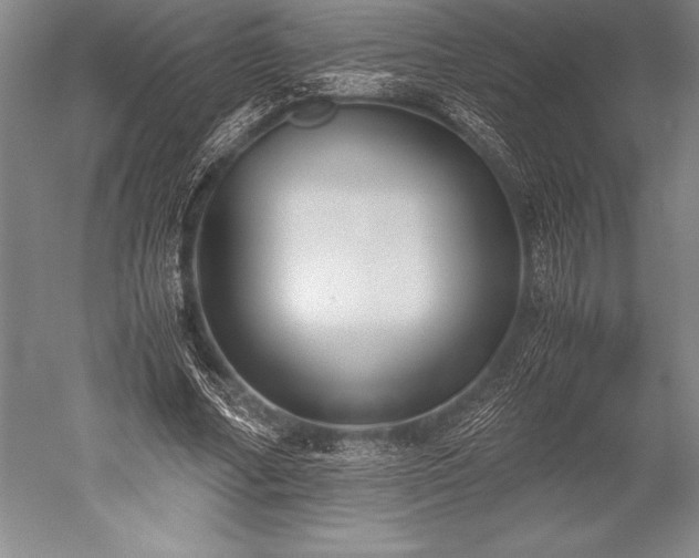X0000052560682200507081636