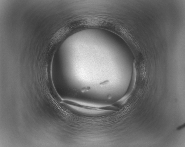 X0000052560685200507081636
