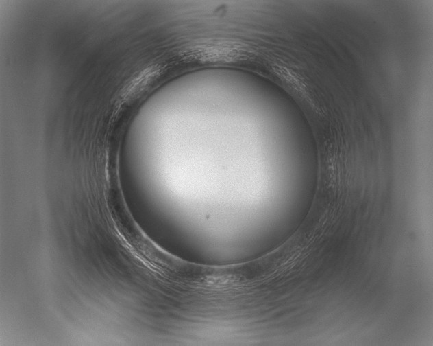 X0000052560686200507081636