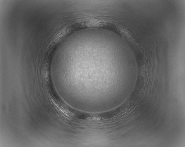 X0000052560687200507081636
