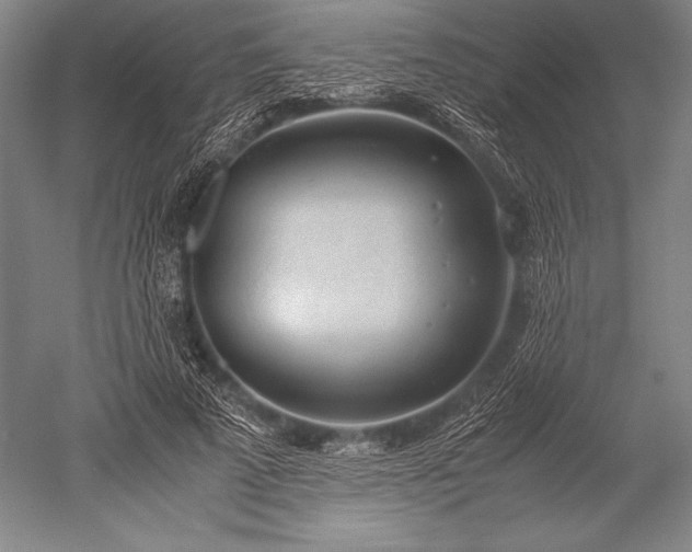 X0000052560689200507081636