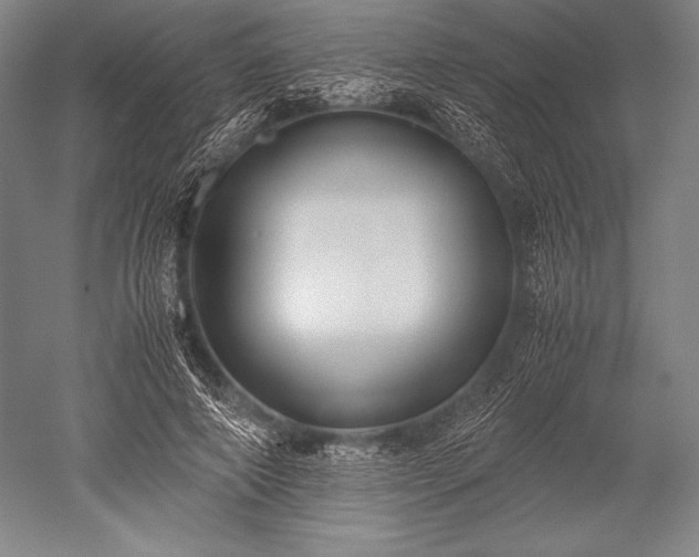 X0000052560690200507081636