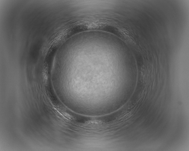 X0000052560691200507081636