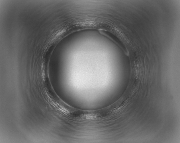 X0000052560692200507081636