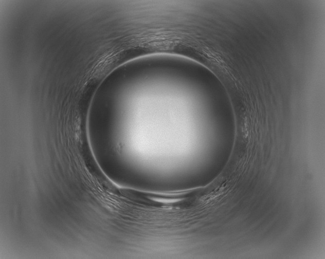 X0000052560693200507081636