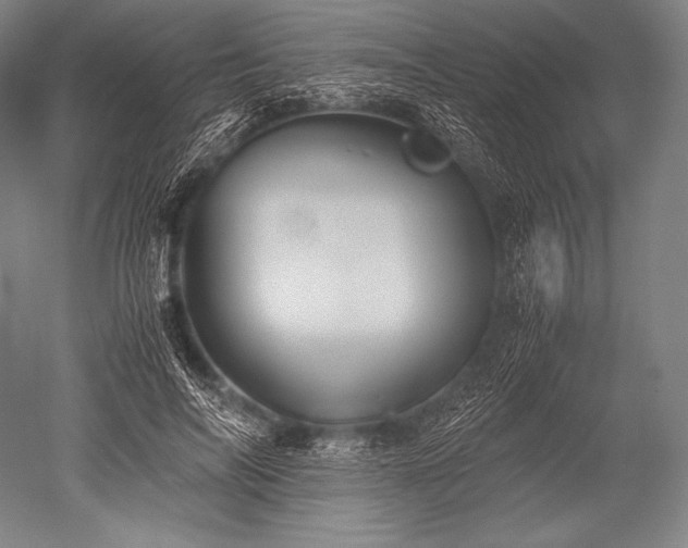 X0000052560694200507081636