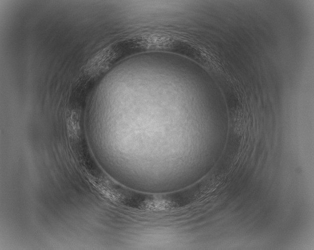 X0000052560695200507081636