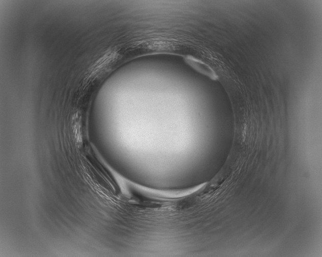 X0000052560696200507081636