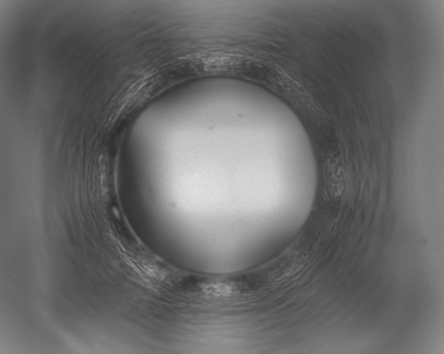 X0000052560698200507081636