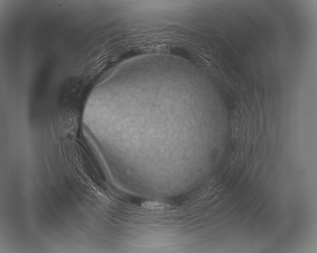 X0000052560699200507081636