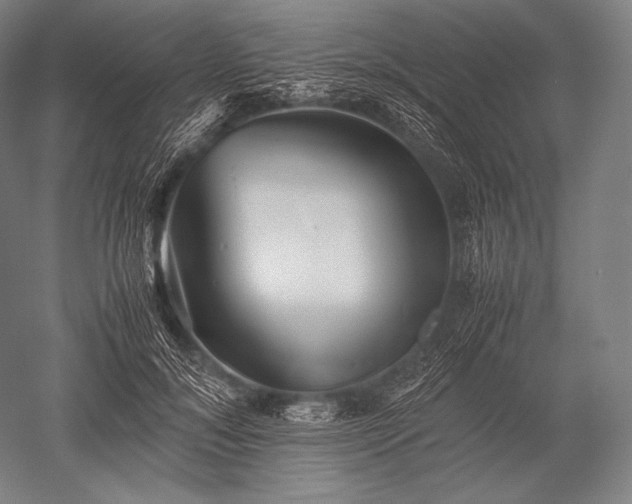 X0000052560700200507081636