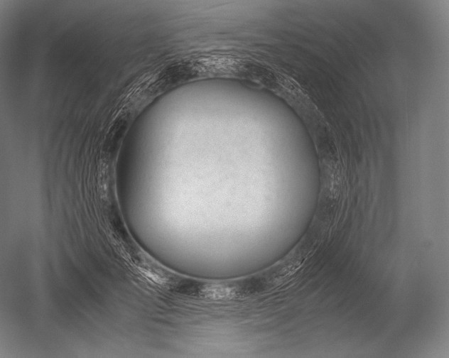 X0000052560701200507081636