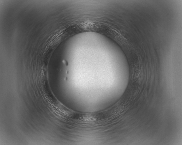 X0000052560702200507081636