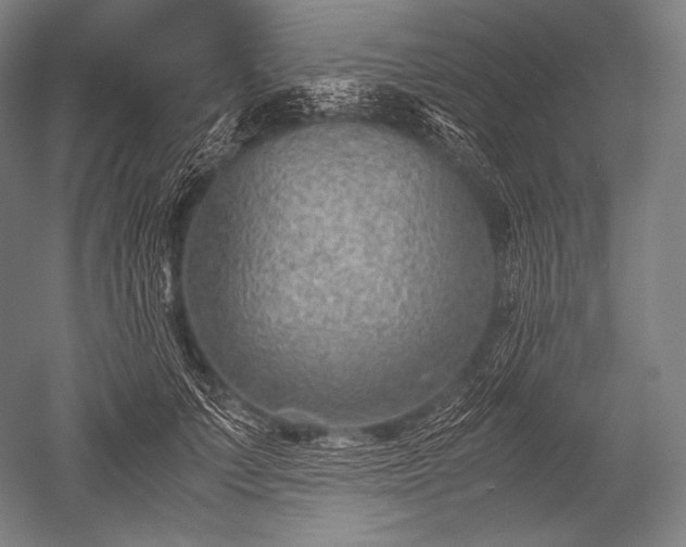 X0000052560703200507081636