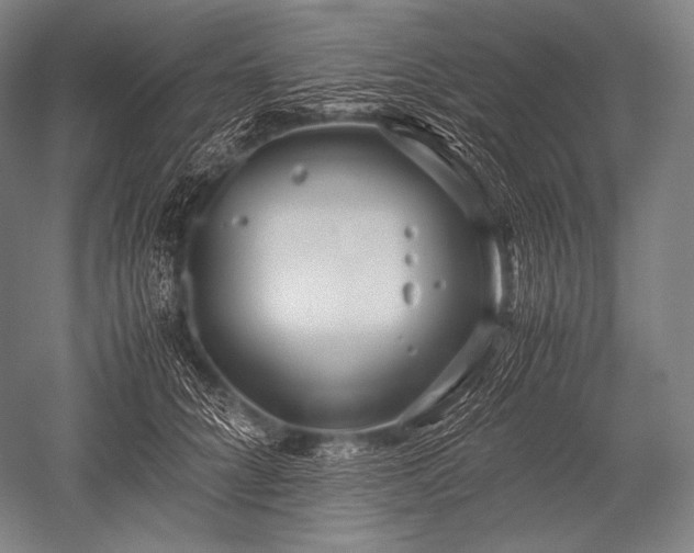 X0000052560704200507081636