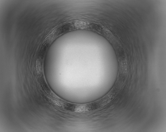 X0000052560705200507081636