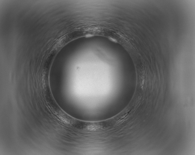 X0000052560708200507081636