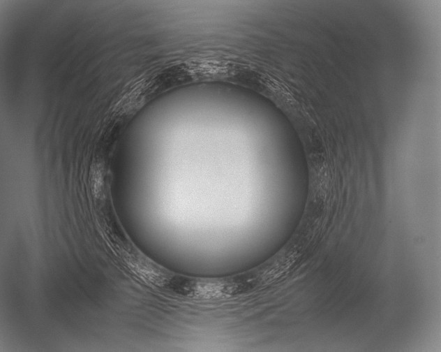 X0000052560709200507081636