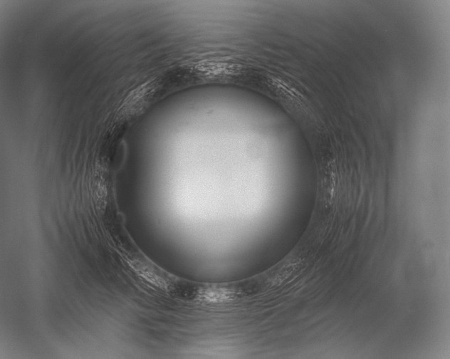 X0000052560710200507081636