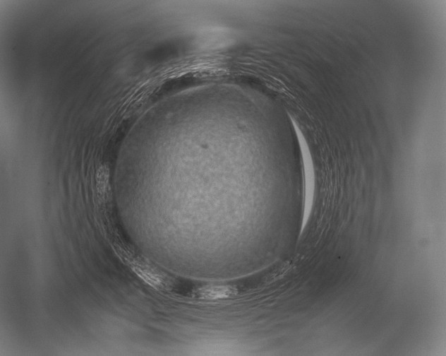 X0000052560711200507081636