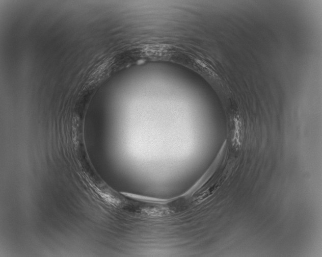 X0000052560712200507081636