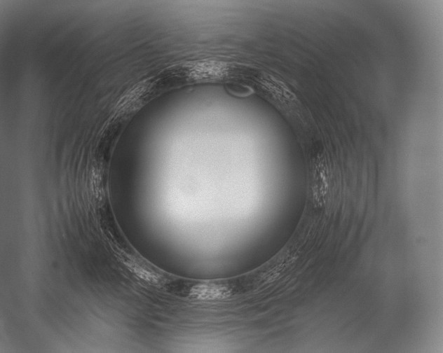 X0000052560714200507081636