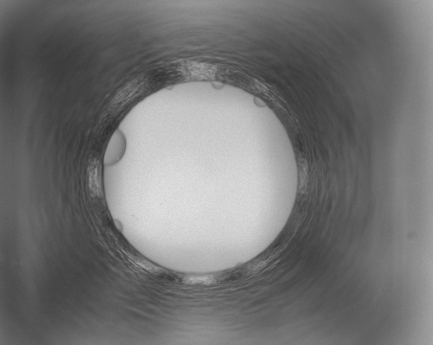 X0000052560717200507081635