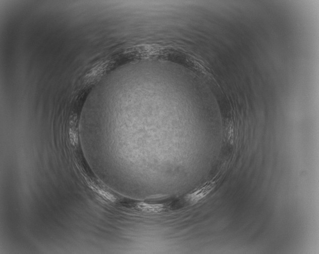 X0000052560719200507081635