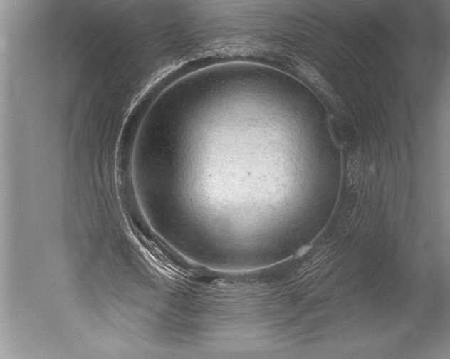 X0000052560722200507081635