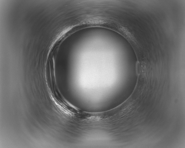X0000052560726200507081635