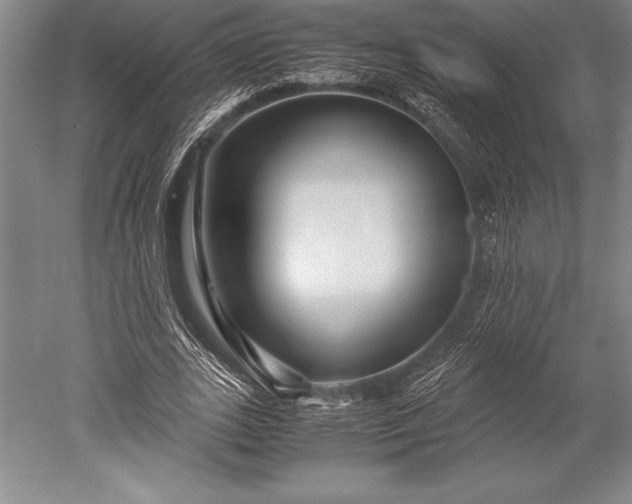 X0000052560727200507081635