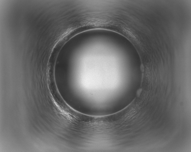 X0000052560730200507081635