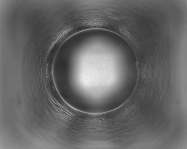 X0000052560731200507081635