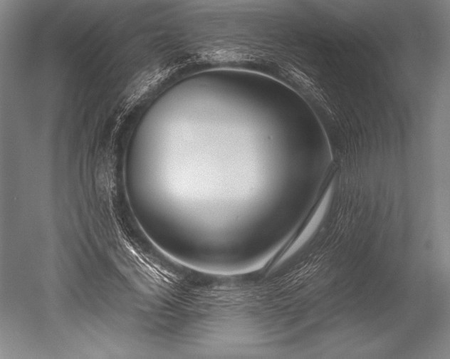 X0000052560732200507081635
