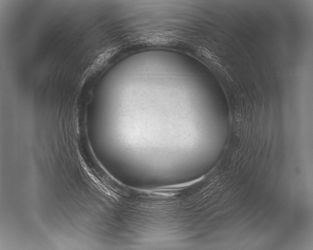 X0000052560734200507081635