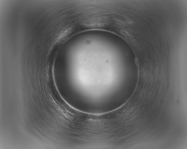 X0000052560735200507081635