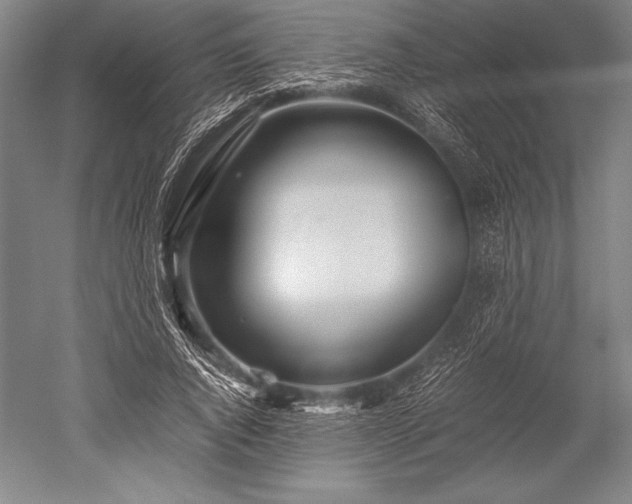 X0000052560736200507081635