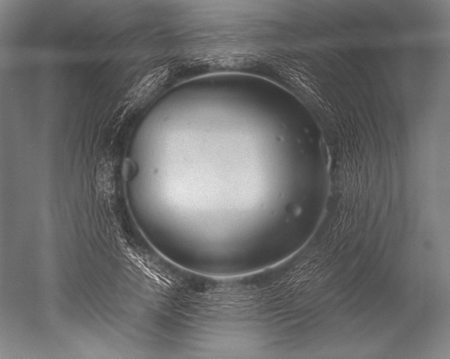 X0000052560738200507081635