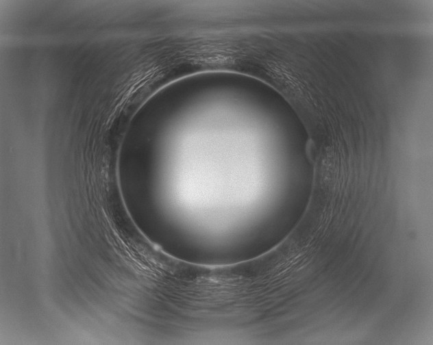 X0000052560739200507081635