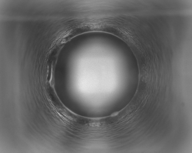 X0000052560740200507081635
