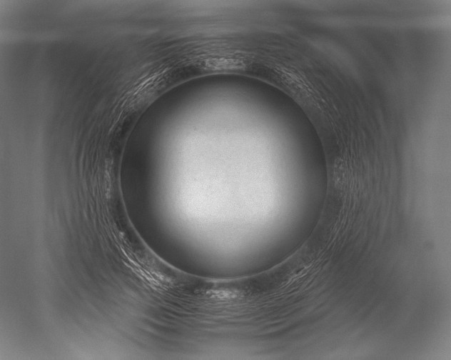 X0000052560741200507081635